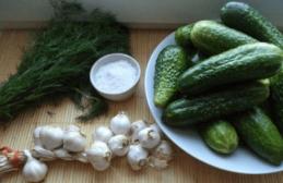 Lightly salted cucumbers: quick recipes for pickling cucumbers