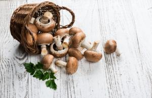 Hidangan Champignon, jamur champignon, dengan foto