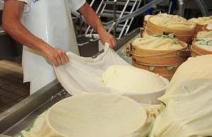 Keju Gruyere: kandungan dan komposisi kalori, digunakan dalam memasak Digunakan dalam memasak