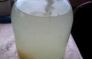 Квас от брезов сок със стафиди: рецепта за приготвяне у дома