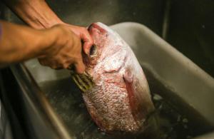 Làm thế nào để loại bỏ vảy từ cá tráp?