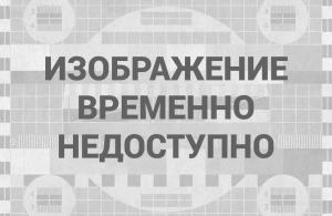 Juha od povrća s mesnim okruglicama Kako brzo skuhati juhu od povrća s mesnim okruglicama