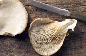 How to clean champignons and oyster mushrooms before cooking