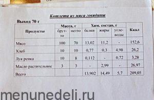 Recepti za ukusne i zdrave kotlete za djecu Svinjski kotleti u pećnici za djecu