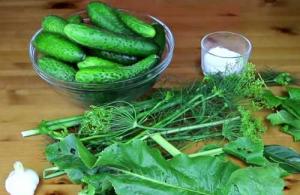 Lightly salted cucumbers 1.5 liter jar recipe.  Lightly salted cucumbers: three quick recipes and cooking tricks.  How to put cucumbers in a jar