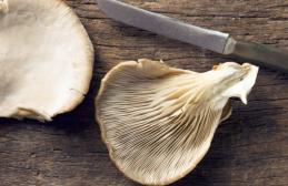 How to clean champignons and oyster mushrooms before cooking